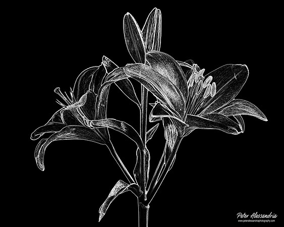 IMG_1044_WB