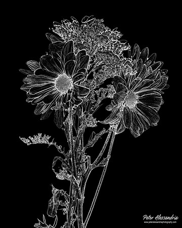 IMG_0985_WB