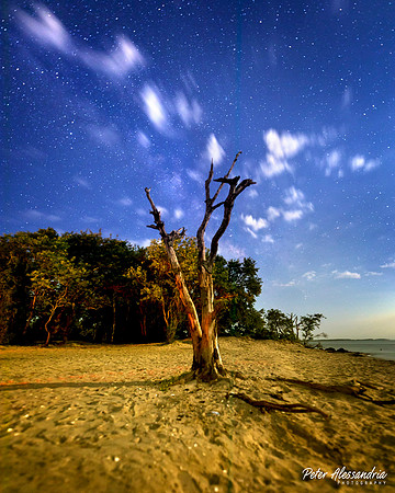 Assateague Milky Way