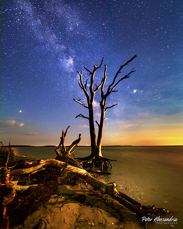 Assateague Milky Way
