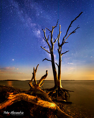 Assateague Milky Way