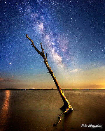 Assateague Milky Way