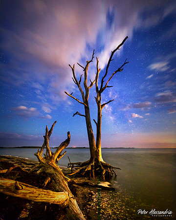 Assateague Milky Way