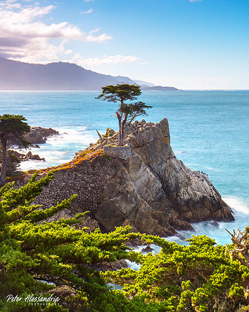 17 Mile Pebble Beach Lone Cypress
