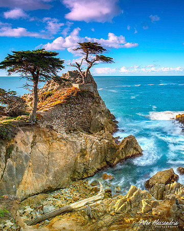17 Mile Pebble Beach Lone Cypress