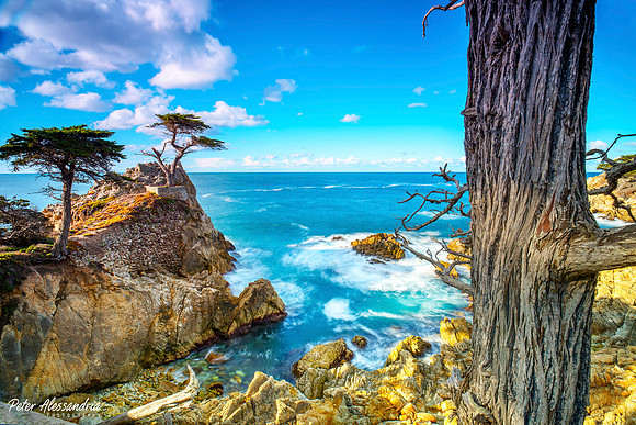 17 Mile Pebble Beach Lone Cypress