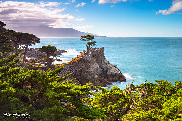 17 Mile Pebble Beach Lone Cypress