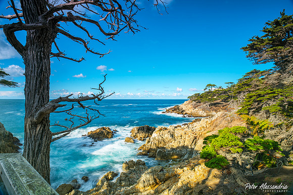 17 Mile Pebble Beach Lone Cypress