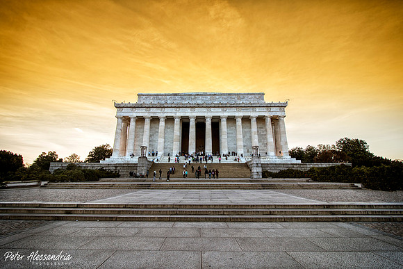 Washington DC Cherry Blossoms