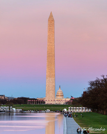 Washington DC Cherry Blossoms