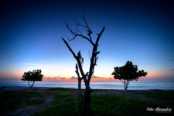 Maldive Islands