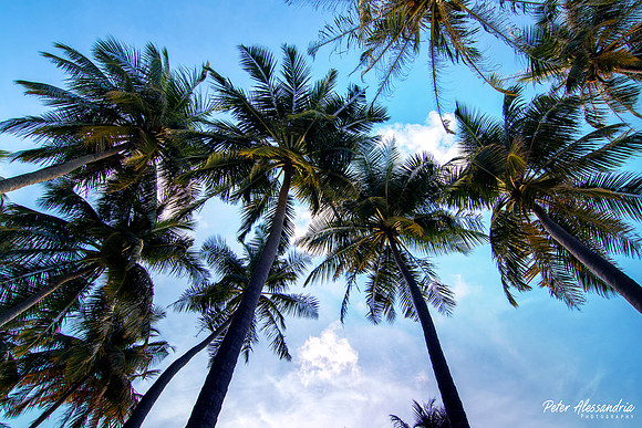 Maldive Islands