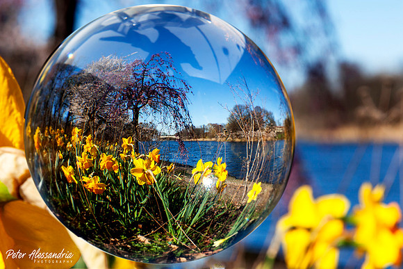 Crystal Ball