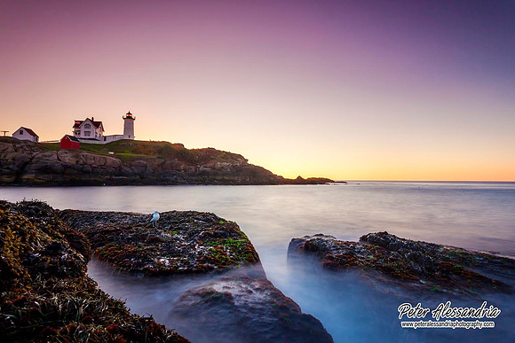 Maine Lighthouse