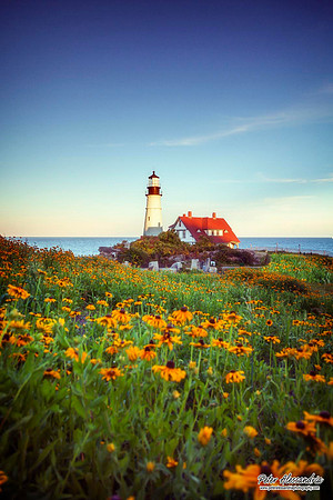 Maine Lighthouse