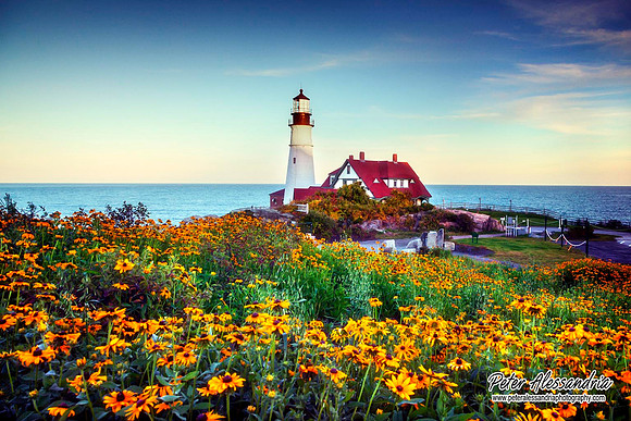 Maine Lighthouse