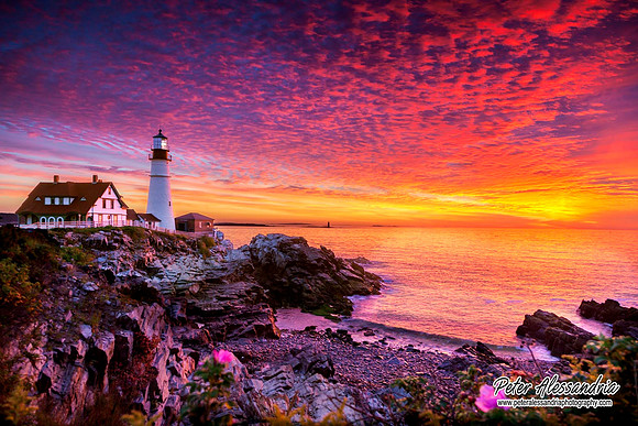 Maine Lighthouse