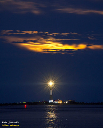 Z72_6639
